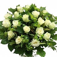 אהבה לבנה אהבה לבנה